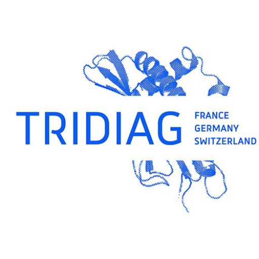 18 mai : 2e réunion trinationale du projet TRIDIAG : Immunologie et Transplantation