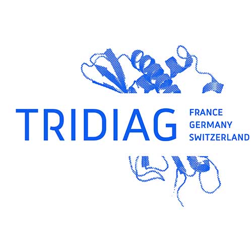 Opening event of the TRIDIAG project